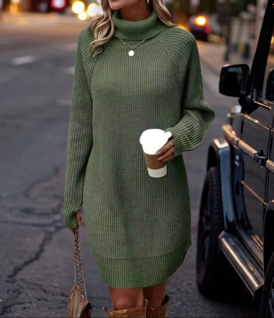 Ribbed Roll-Neck Casual Mini Dress in Olive