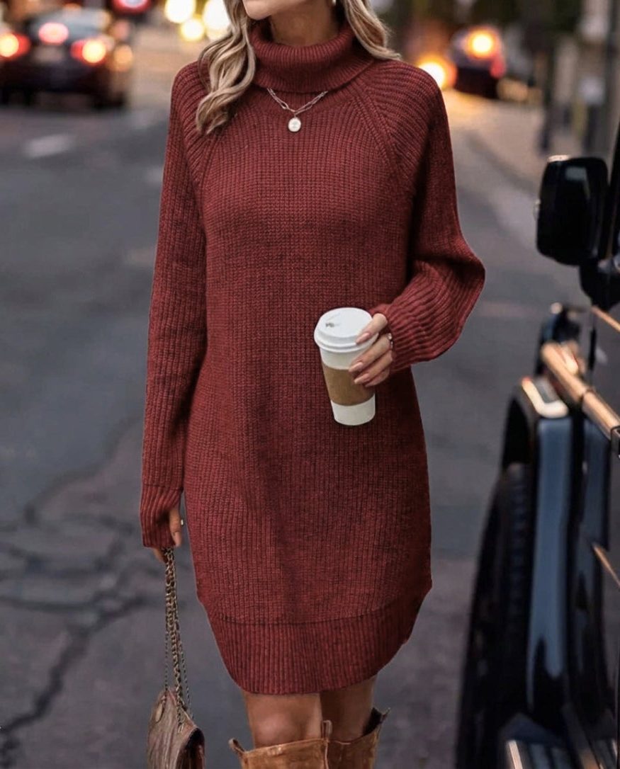 Ribbed Roll-Neck Casual Mini Dress in Brick Red