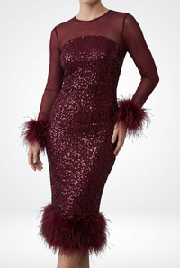 Sophie | Sequined Mesh Evening Dress Form-Fitting Midi